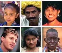 Conceito de diversidade Conceito de diversidade