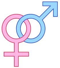 Conceito de heterossexual Conceito de heterossexual