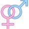 Conceito de heterossexual Conceito de heterossexual