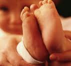 Conceito de aborto Conceito de aborto