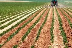 Conceito de direito agrário Conceito de direito agrário