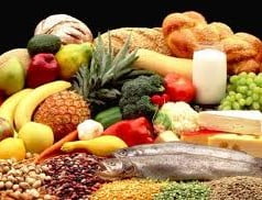 Conceito de nutrição Conceito de nutrição