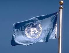Conceito de ONU Conceito de ONU