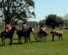 Conceito de comunidade rural Conceito de comunidade rural