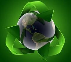 Conceito de ecologia Conceito de ecologia