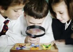 Conceito de pedagogia crítica Conceito de pedagogia crítica