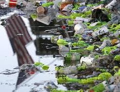 Conceito de higiene ambiental Conceito de higiene ambiental