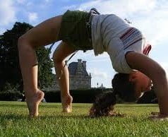 Conceito de flexibilidade Conceito de flexibilidade