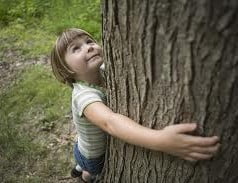 Conceito de educação ambiental Conceito de educação ambiental