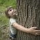 Conceito de educação ambiental Conceito de educação ambiental