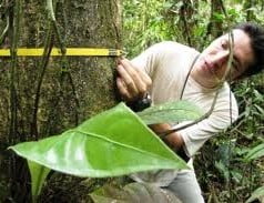 Conceito de ciências biológicas Conceito de ciências biológicas