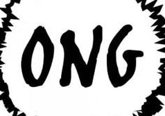 Conceito de ONG Conceito de ONG