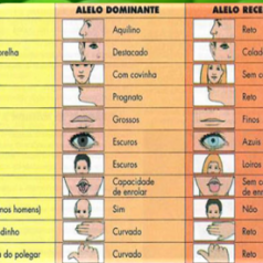 Conceito de dominância Conceito de dominância