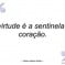 Conceito de virtude