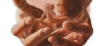 Definição de aborto provocado
