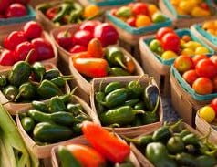 Conceito de alimento Conceito de alimento