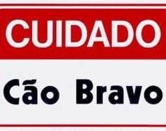 Conceito de cuidado Conceito de cuidado