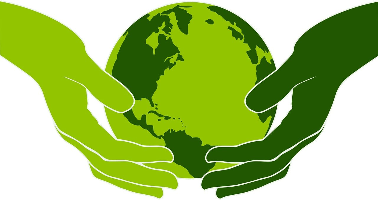o que é educação ambiental