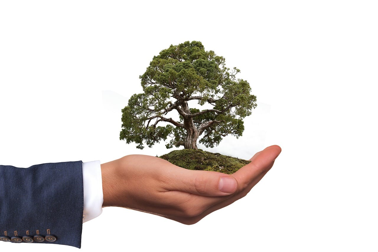educação ambiental