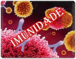 Conceito de imunidade - O que é, Definição e Significado