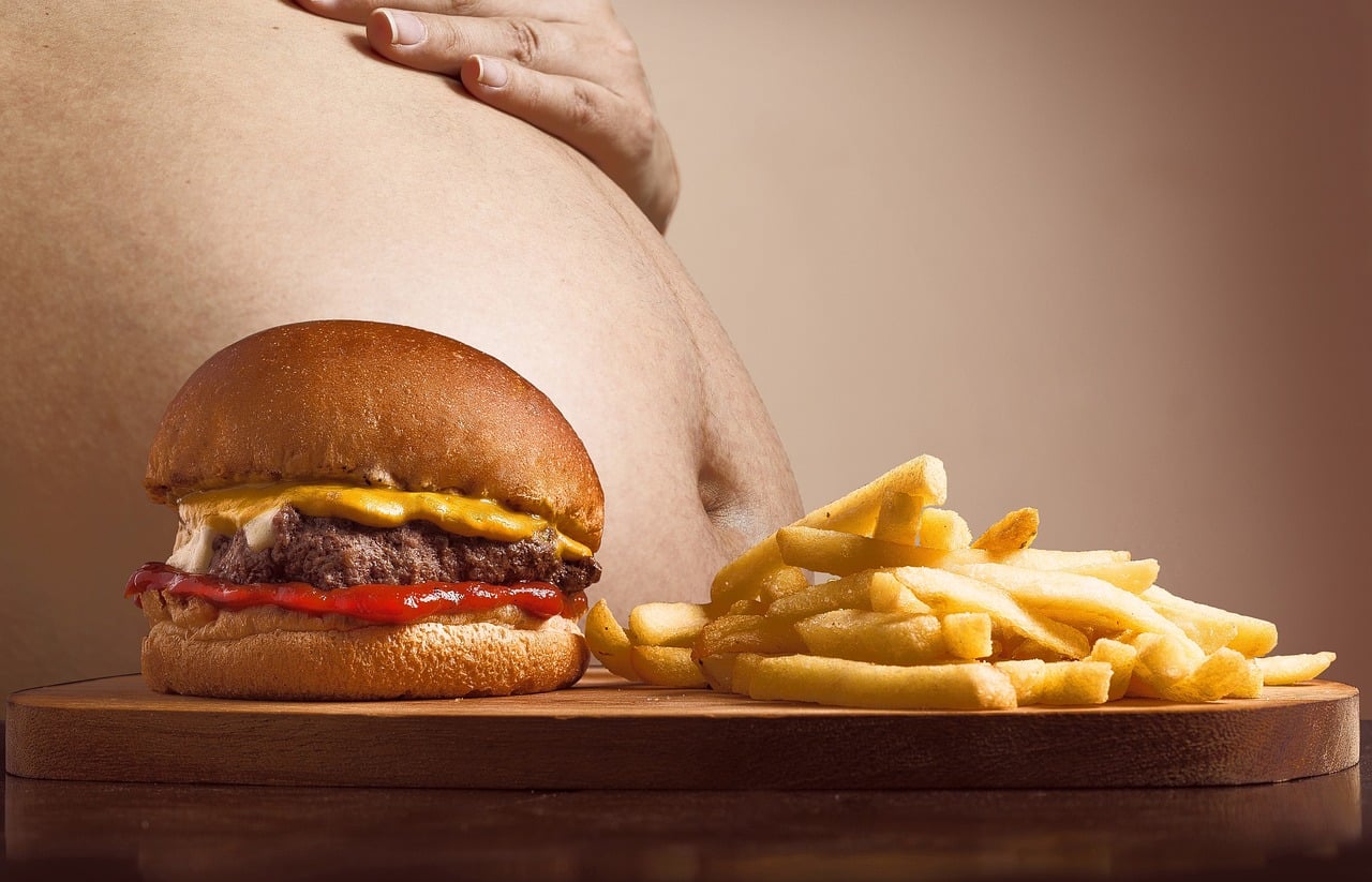 conceito de obesidade