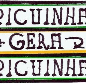 Picuinhas - O que é, conceito e definição