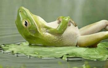 Resultado de imagem para tédio