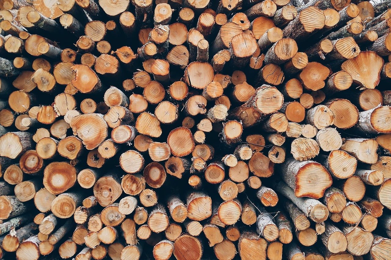 conceito de madeira
