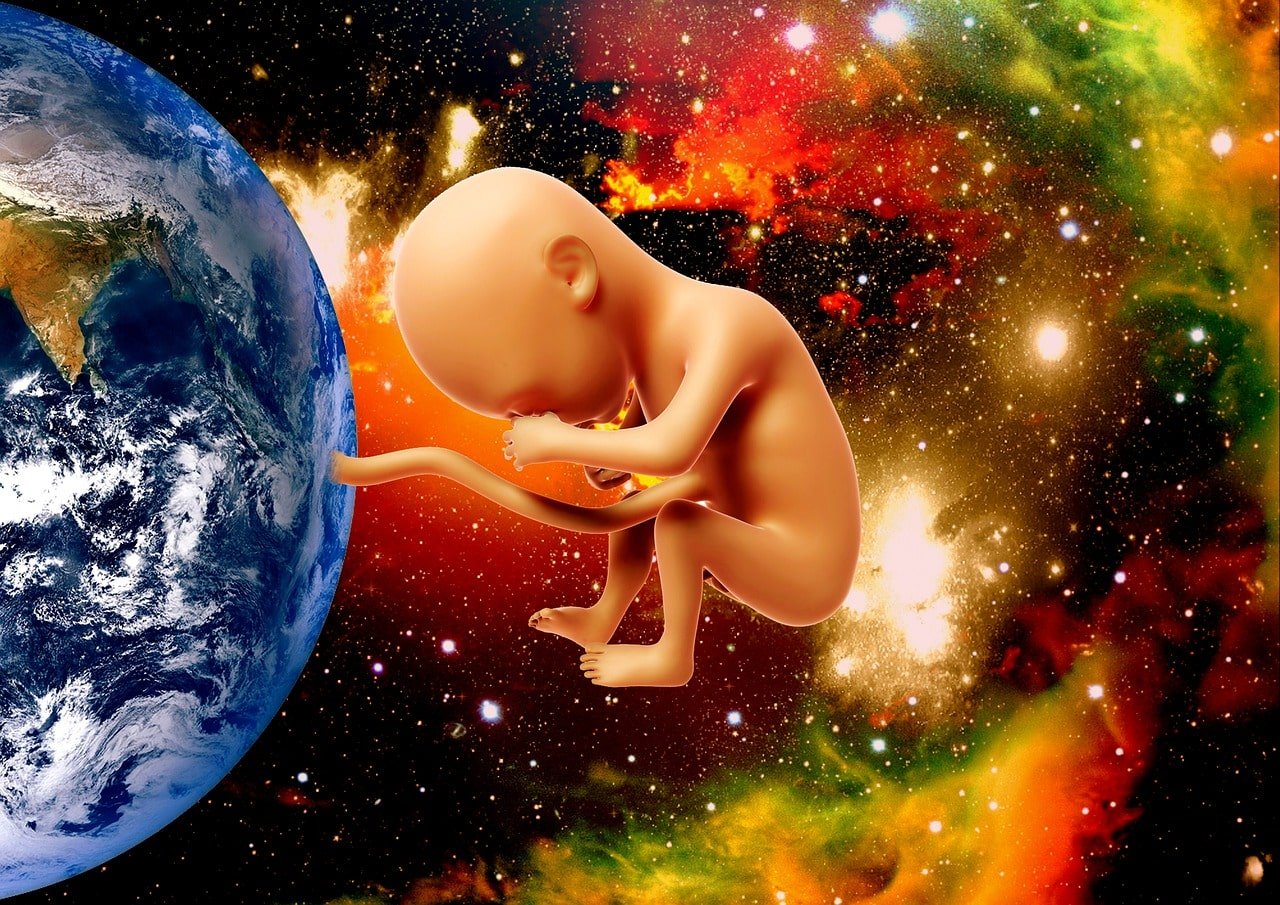 conceito de embrião