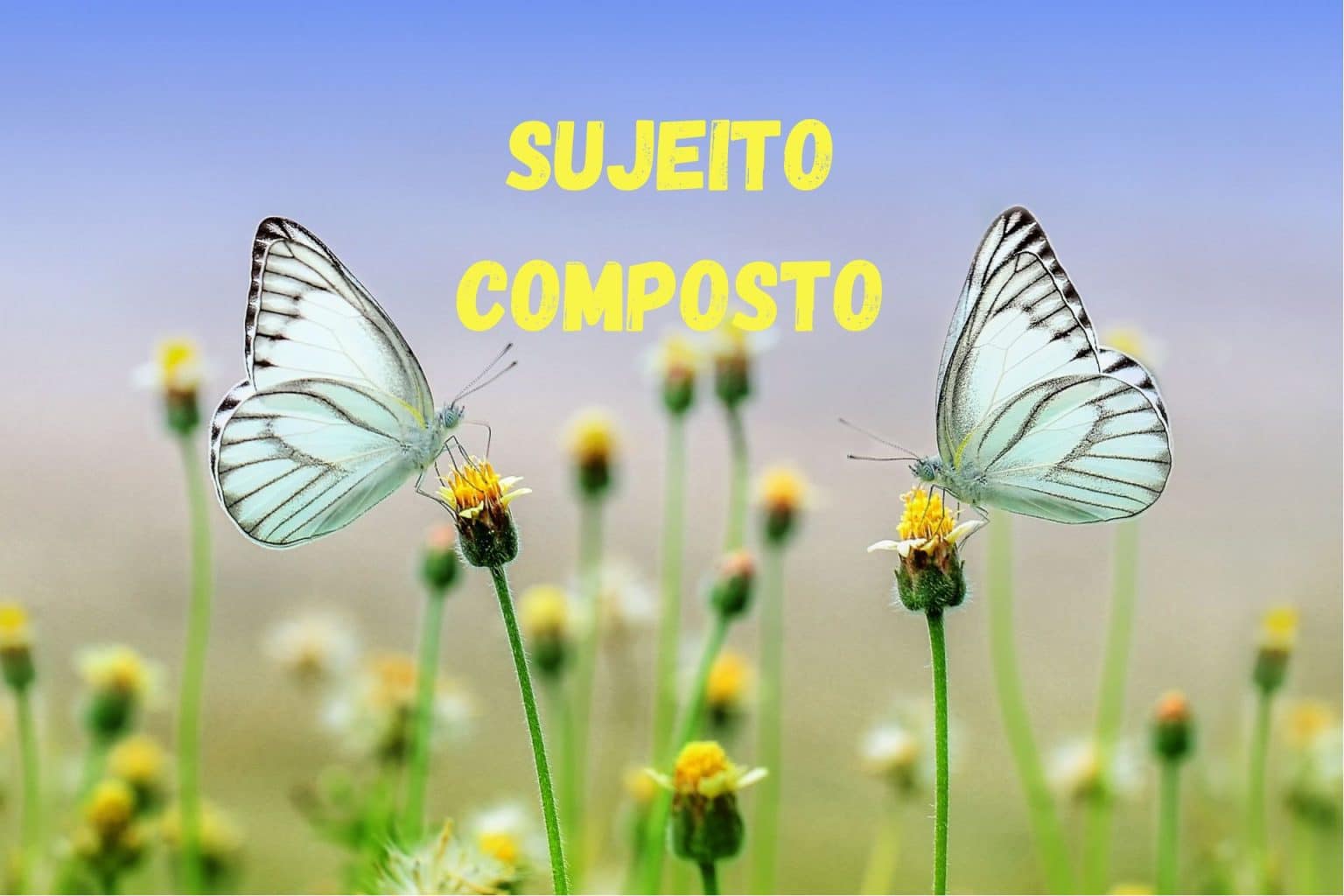 Sujeito composto - O que é, estrutura, conceito e definição