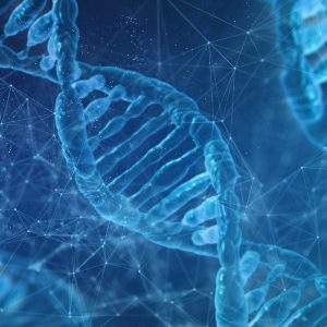 DNA - O que é, importância, conceito e definição