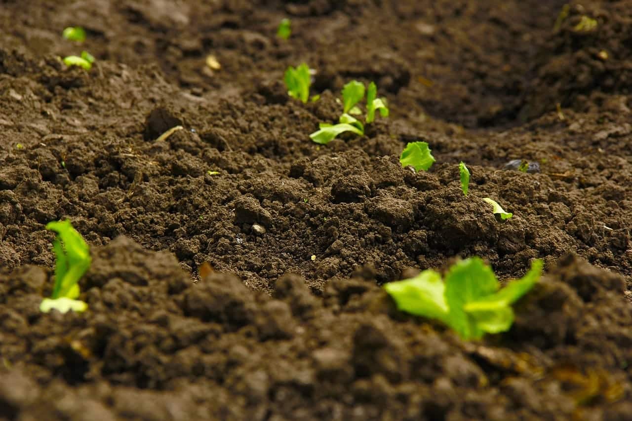 conceito de agricultura regenerativa